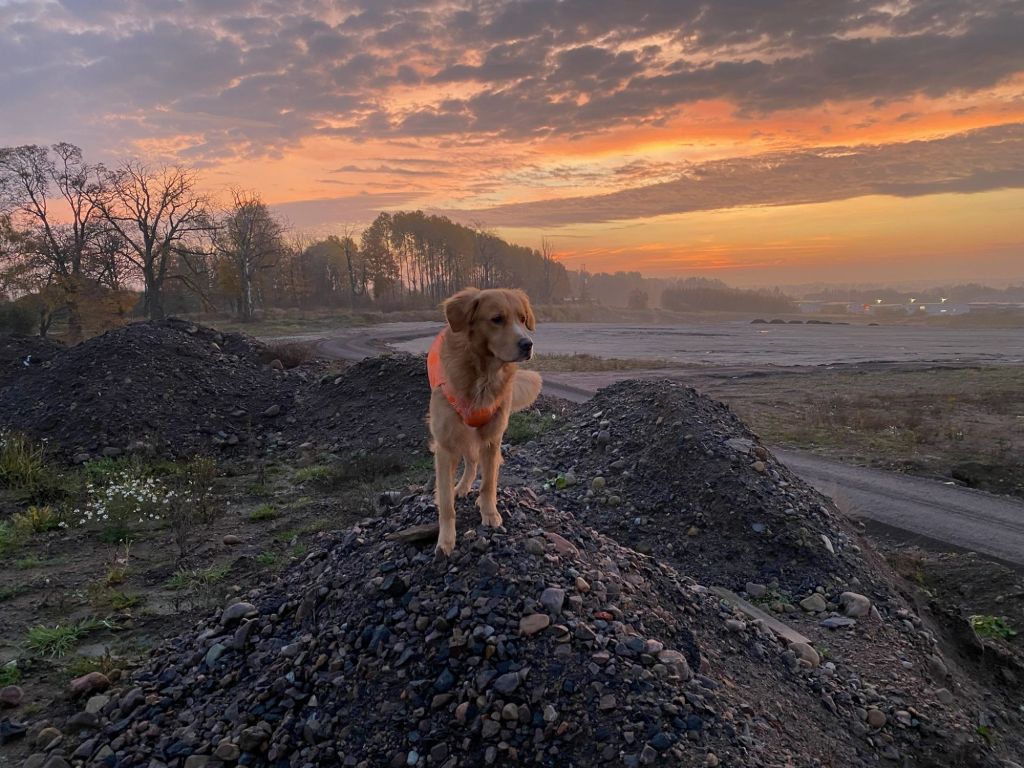 img_575611930349373840510887